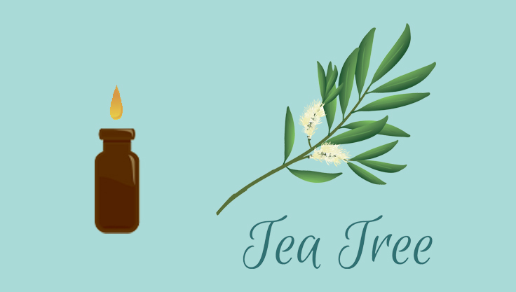 Brug tea tree oil mod uren hud i din daglige hudplejerutine